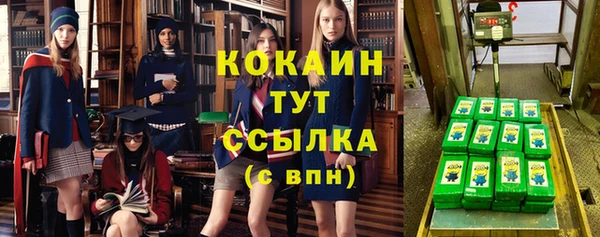 PSILOCYBIN Абаза