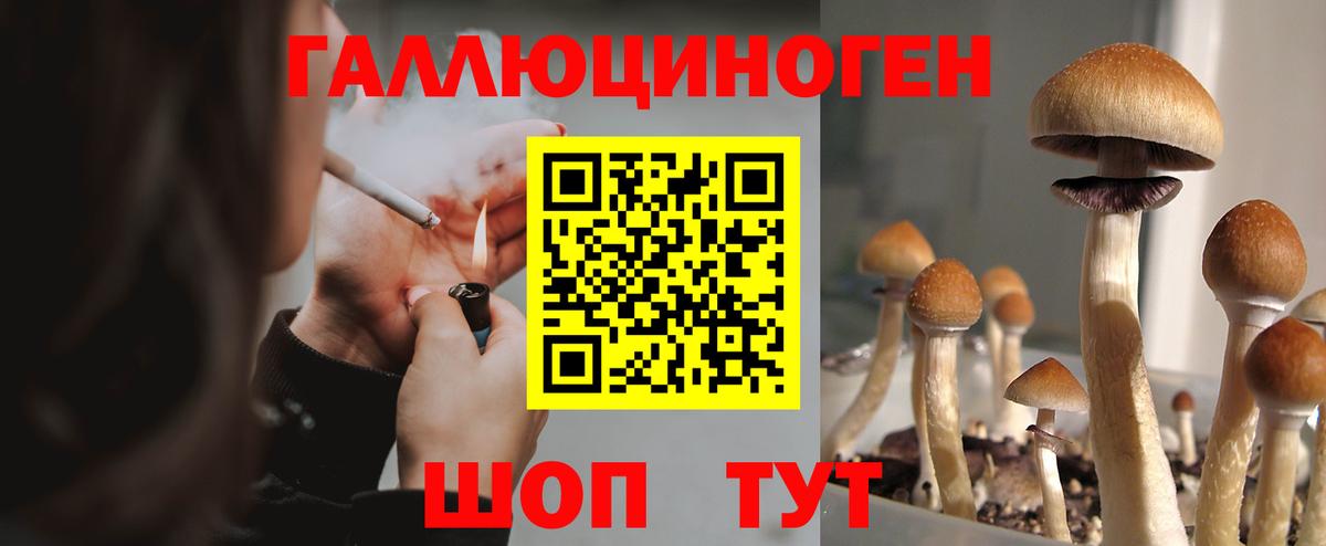 Псилоцибиновые грибы Psilocybine cubensis Топки