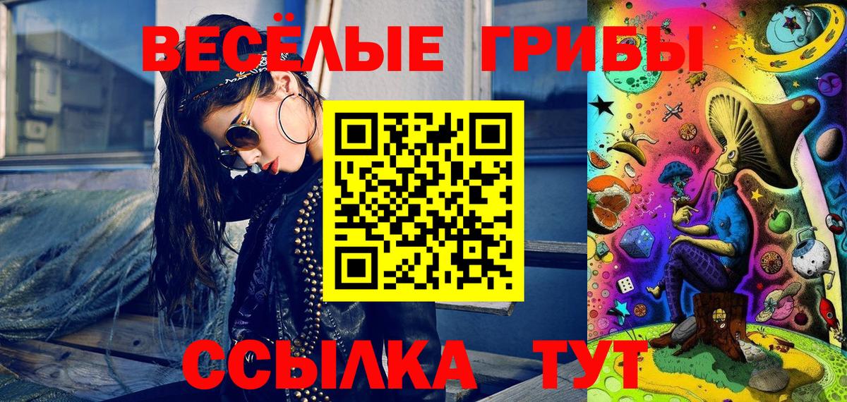 Псилоцибиновые грибы GOLDEN TEACHER Топки